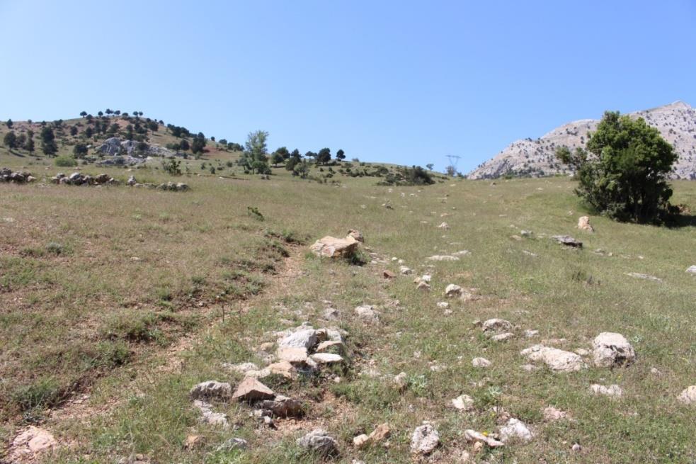 Prostanna Antik Kenti Tabanlı Res. 2: P14, Güneydoğu Yol Ağı.