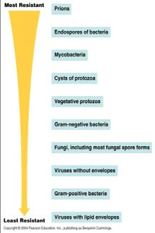 1. Mikroorganizmanın Yapısı Dirençli Prionlar Bakteri endosporları Doğal direnç: Mikroorganizmanın antiseptik maddeyle temasına bağlı olmaksızın doğal olarak ilgili maddeye karşı direnç durumunu