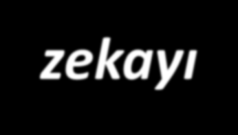 Çoklu Zekâ Kuramı GARDNER zekayı; Problem çözme kapasitesi, Problemlerin çözümü için farklı çözüm