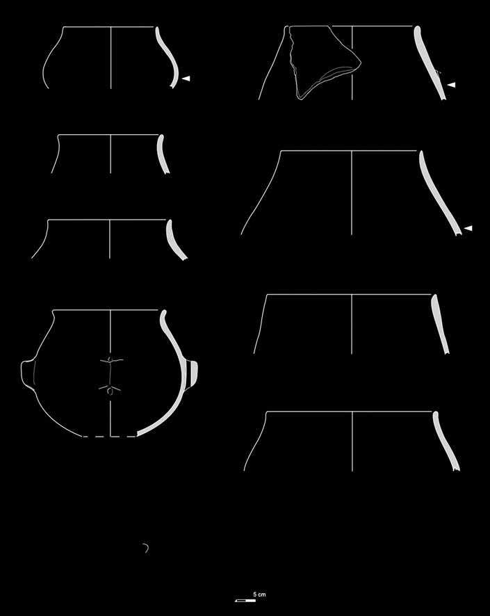 Şekil 5: Barcın Höyük