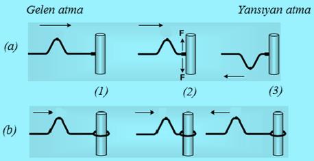 Burada x = 0 ve x = L'deki sınır koşulları kullanırsa y n (0, t) = A n sin( nt) + A n sin nt = A n sin nt + A n sin nt = 0 y n (L, t) = A n sin(nπ nt) + A n sin(nπ + nt) = A n [sinnπcos nt cosnπsin n