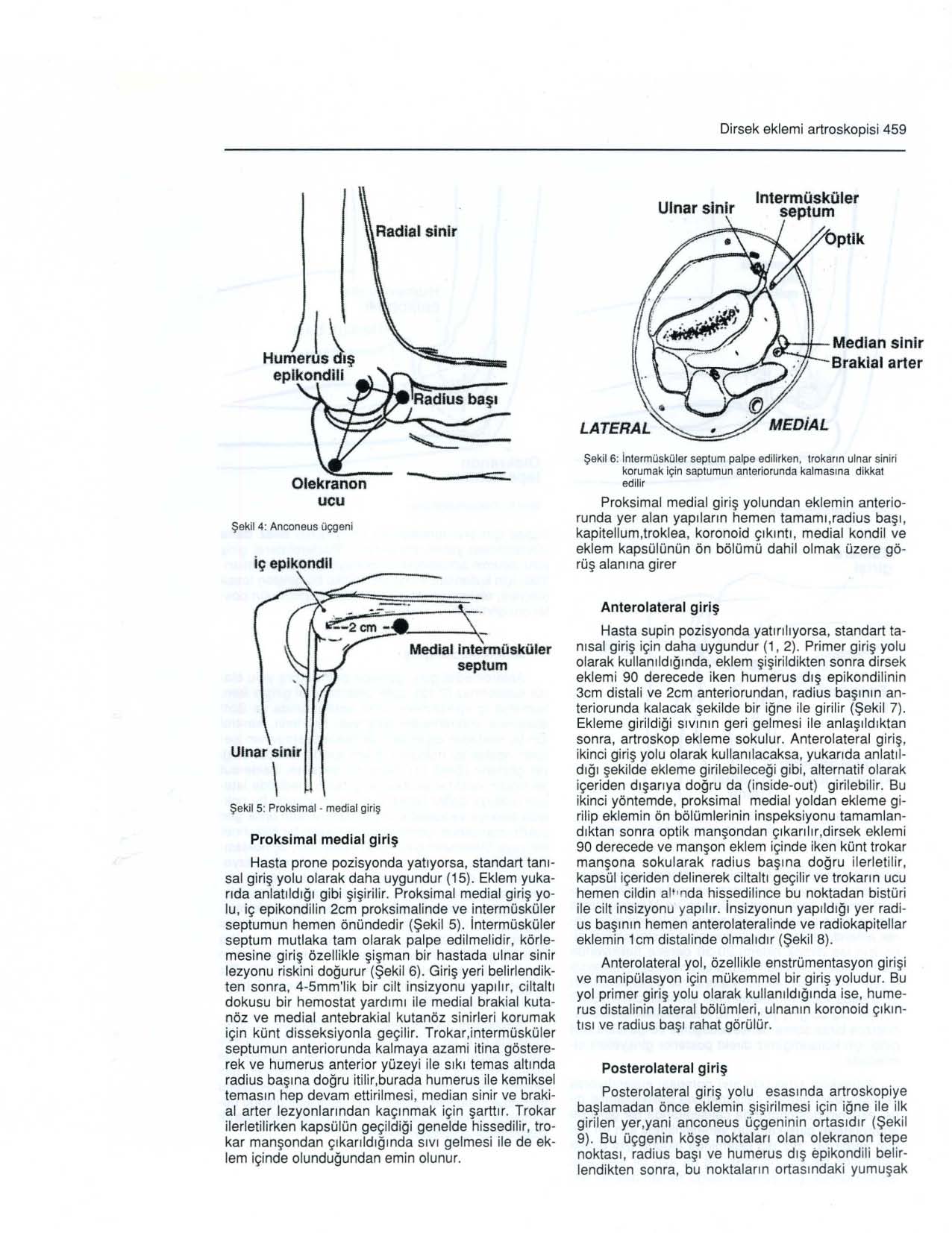 Dirsek eklemi artroskopisi 459 Radial sinir IntermüskOler septum ptik 1\ Humerusdış eplkondili Olekranon ucu Şeklı 4: Anconeus üçgen i -----::;:==-~ Şekil 6: intermüsküler septum palpe edilirken,