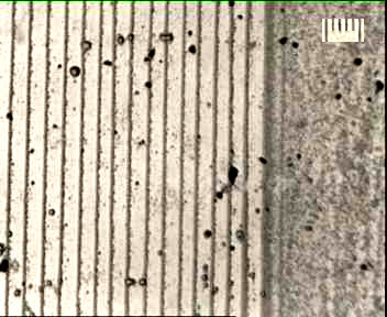 İlk bölge Son bölge 100 µm 100 µm Şekil 2. Zeolit A nın cam yüzeyinde hazırlanan mikropaterni (C=0,58 mg/ml, N=15) İlk bölge Son bölge 100 µm 100 µm Şekil 3.