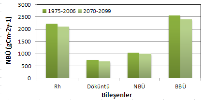 Gökdere Alt Havzası NBÜ bileşenlerinin geleceğe ait durumları incelendiğinde, yılık toplam NBÜ için iğne yapraklı orman formasyonunda yaklaşık 124 gcm -2 y -1, geniş yapraklı orman türlerinde ise 185