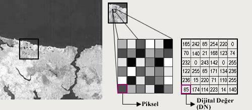 1. GİRİŞ Cenk DÖNMEZ Şekil 1.3. Uzaktan algılanmış görüntüde piksel değerleri (Anonim, 2006a). Yersel çözünür, bir uydu görüntüsünün yer yüzeyi için sağladığı bilginin detayını ifade etmektedir.