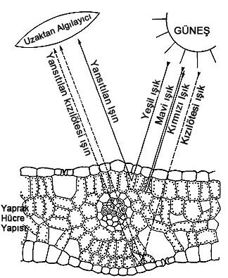 1. GİRİŞ Cenk DÖNMEZ 1.1.2.