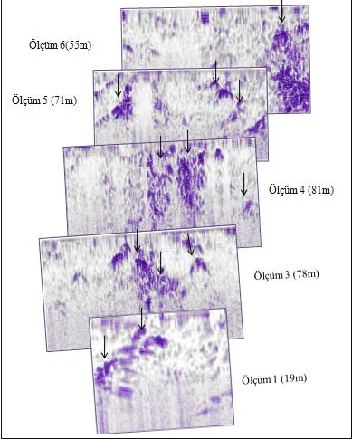 Ankara Üniversitesi Ilgaz ÖRSEM Tesisleri, Kastamonu Şekil 3. Yer radarı profil konumlarına göre bazı radargramların birlikte görünümü. Şekil 4.