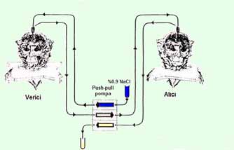 Kullanım amaçları Değişik deneysel koşular altında beynin derin bölgelerini perfüze ederek salıverilen endojen maddelerin miktarlarını saptamak.