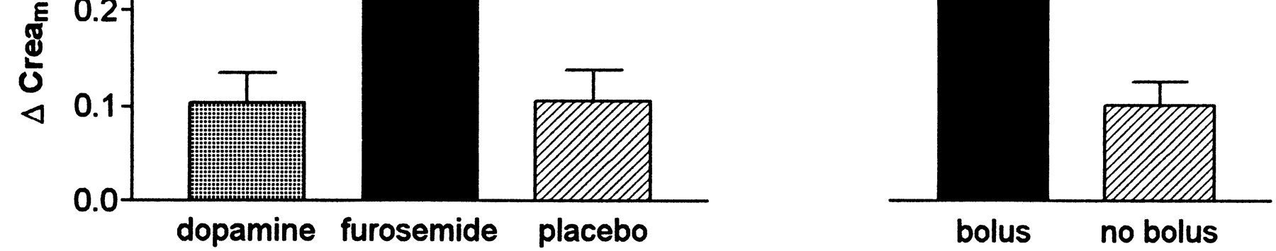 Lack of Renoprotective Effects of Dopamine and Furosemide During