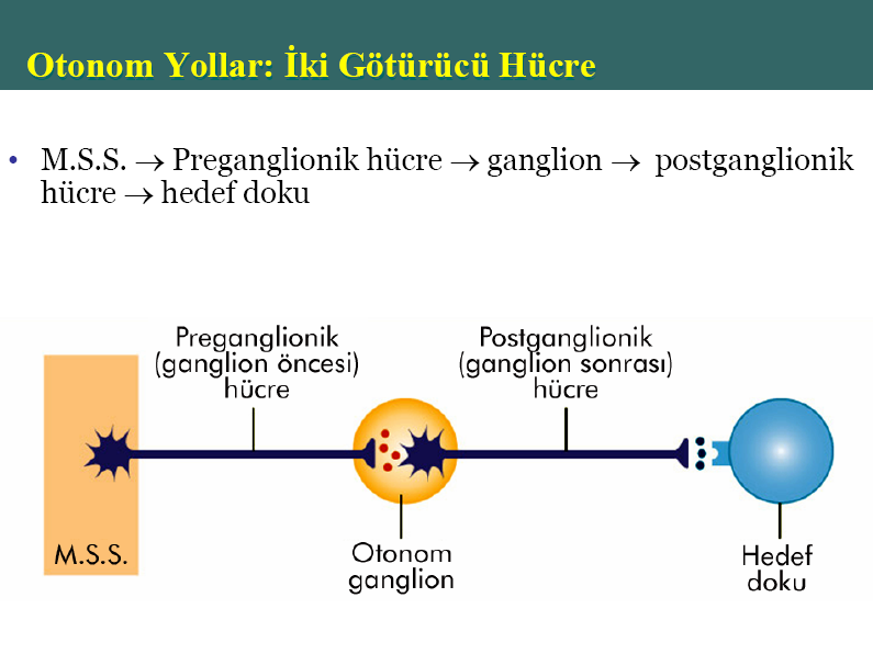 Kaynak: Sinan Cam.