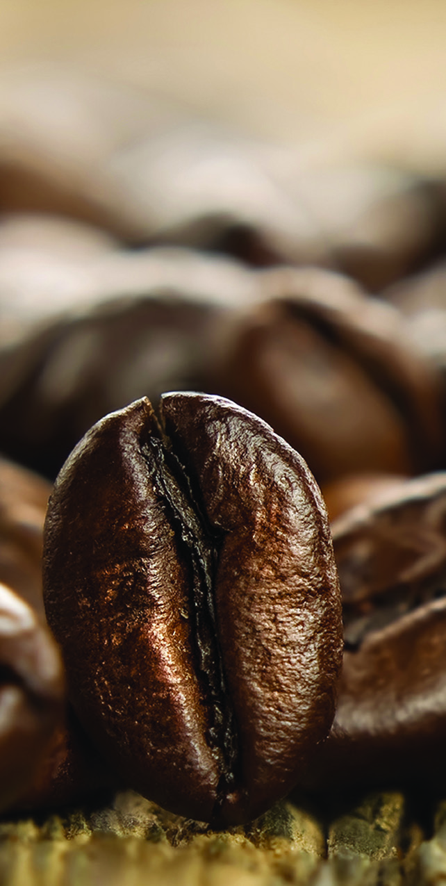 Kahve Evi konsepti son yıllarda ülkemizin yükselen kazanç kaynaklarından biri olarak hemen göze çapıyor.