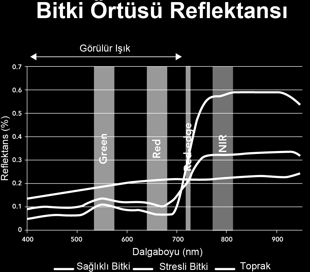 4 x monokrom sensör Piksel boyutu: 3.75 μm Odak uzaklığı: 3.