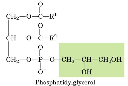 Fosfatidilgliserol Difosfatidilgliserol