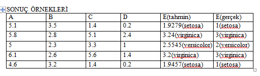 Formülünü uygularsak; Vr:Gerçek değerdir Vn: F9 ile elde edilen değerdir.