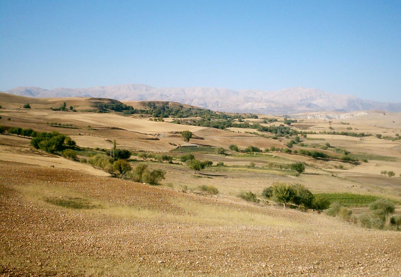 195 ADIYAMAN HAVZASININ JEOMORFOLOJİK ÖZELLİKLERİ alan üzerindeki başlıca yükseltiler: Bektut Tepesi (2357 m), Armutağaç Tepesi (1710 m), Karagedik Tepesi (1485) ve Sinekli Dağı Tepesi (1700 m)'dir.