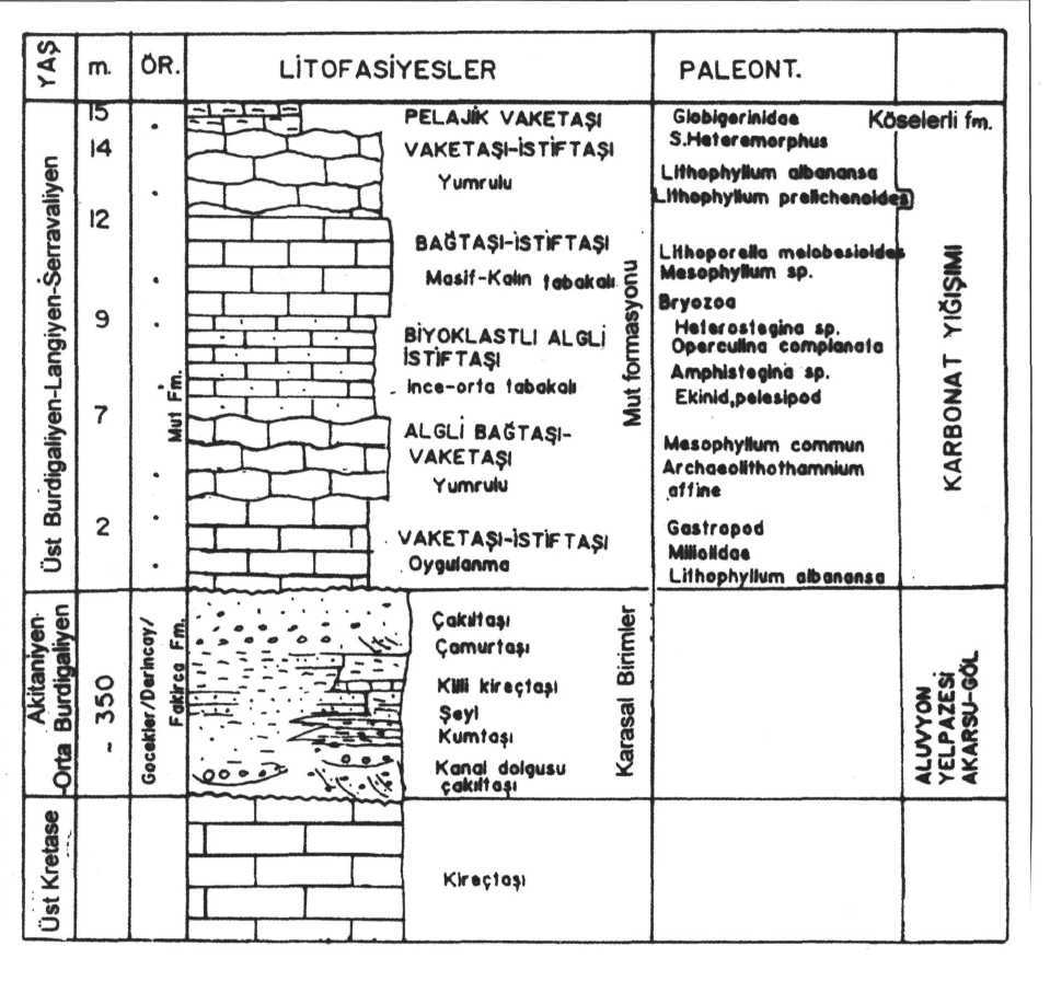 Eşref ATABEY; Nevbahar ATABEY; Aynur HAKYEMEZ; Yeşim İSLAMOĞLU; Şinasi SÖZERl; N.Nimet ÖZÇELİK; Gerçek SARAÇ; Engin ÜNAY ve Sedef BABAYİĞİT Şek. 5- Kızıldağ ölçülmüş stratigrafi kesiti.
