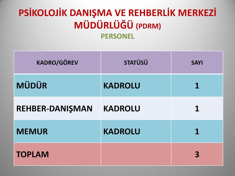 STATÜSÜ SAYI MÜDÜR KADROLU 1