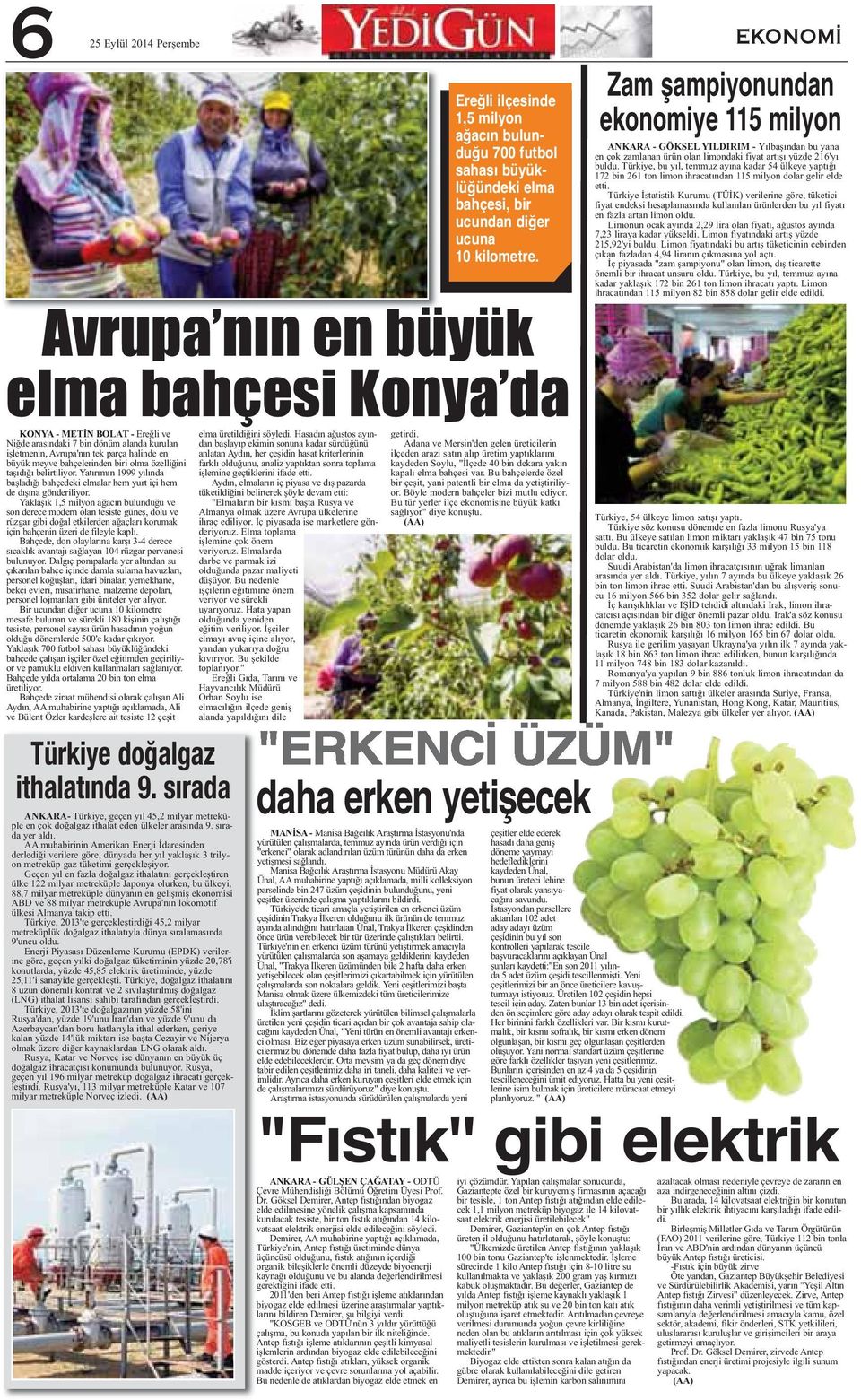 Yaklaşık 1,5 milyon ağacın bulunduğu ve son derece modern olan tesiste güneş, dolu ve rüzgar gibi doğal etkilerden ağaçları korumak için bahçenin üzeri de fileyle kaplı.