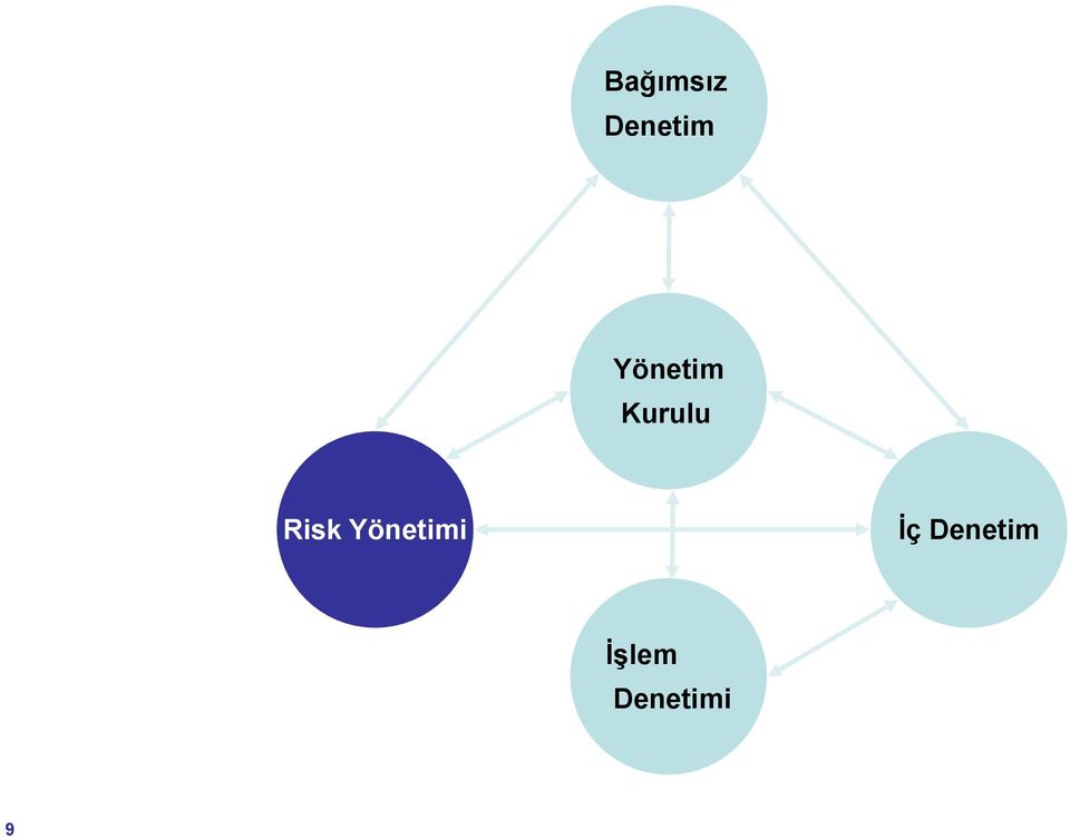 Risk Yönetimi İç