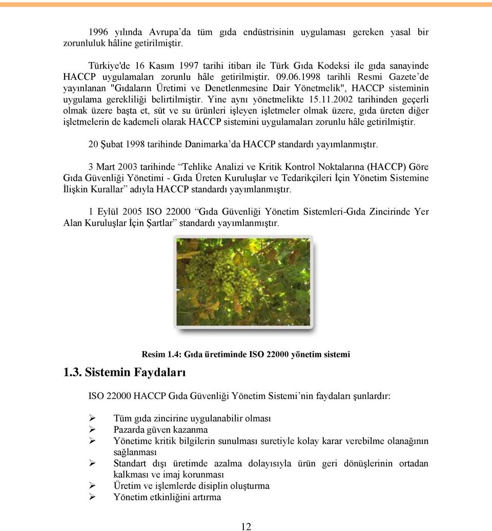 1998 tarihli Resmi Gazete de yayınlanan "Gıdaların Üretimi ve Denetlenmesine Dair Yönetmelik", HACCP sisteminin uygulama gerekliliği belirtilmiştir. Yine aynı yönetmelikte 15.11.