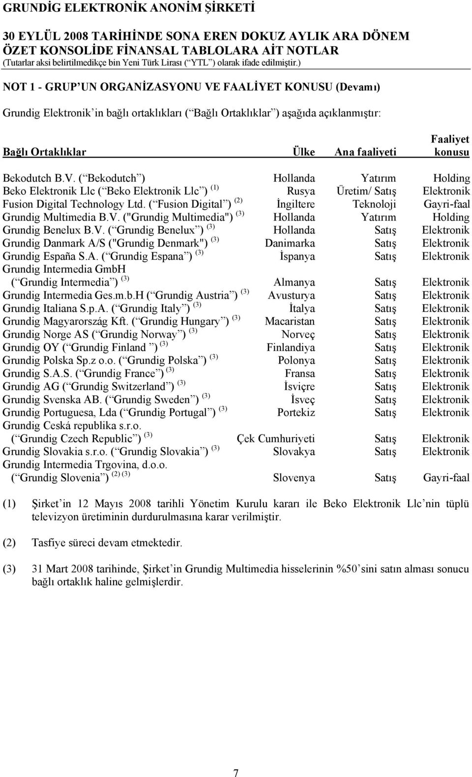 ( Fusion Digital ) (2) İngiltere Teknoloji Gayri-faal Grundig Multimedia B.V.