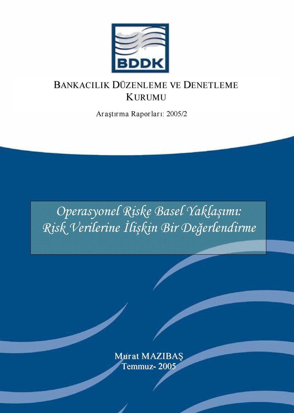 Riske Basel Yaklaşımı: Risk Verilerine