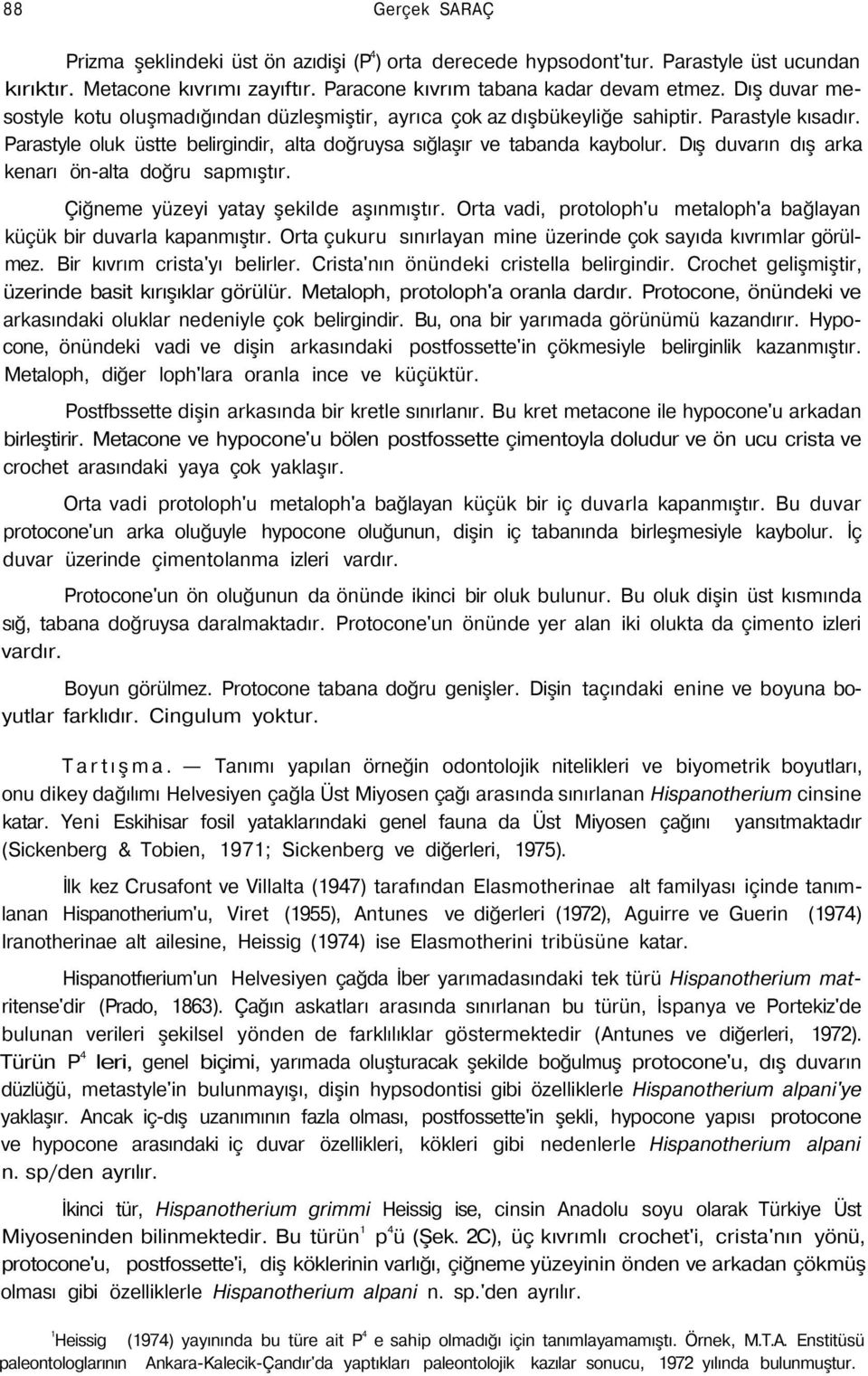 Dış duvarın dış arka kenarı ön-alta doğru sapmıştır. Çiğneme yüzeyi yatay şekilde aşınmıştır. Orta vadi, protoloph'u metaloph'a bağlayan küçük bir duvarla kapanmıştır.