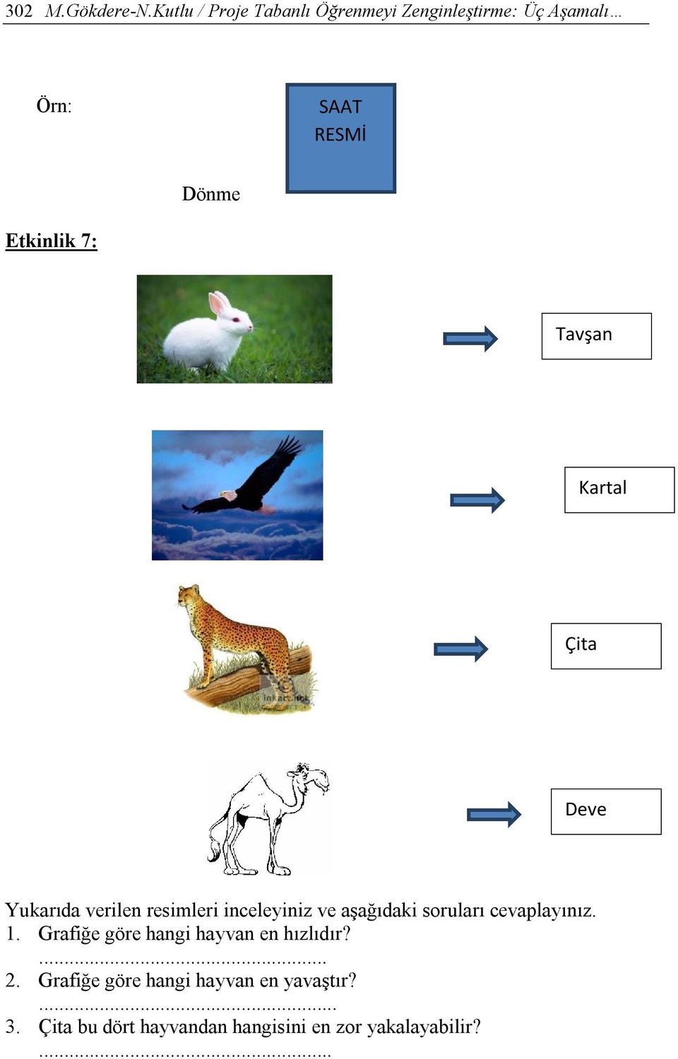 7: Tavşan Kartal Çita Deve Yukarıda verilen resimleri inceleyiniz ve aşağıdaki soruları