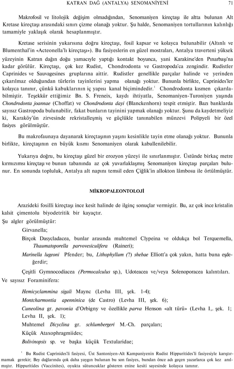 Kretase serisinin yukarısına doğru kireçtaşı, fosil kapsar ve kolayca bulunabilir (Altınlı ve Blumenthal'in «Acteonella'lı kireçtaşı»).