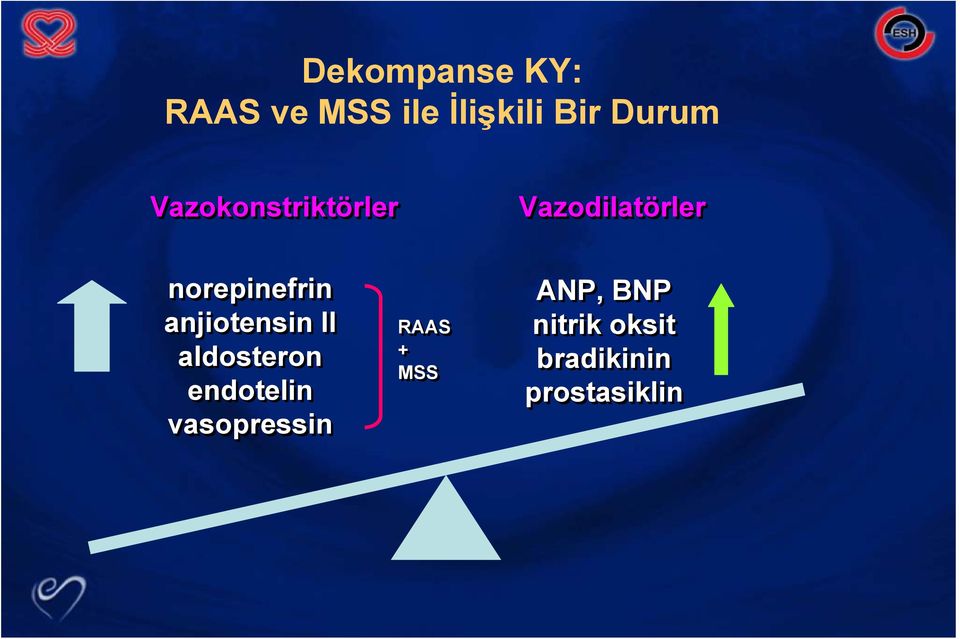 anjiotensin II aldosteron endotelin vasopressin