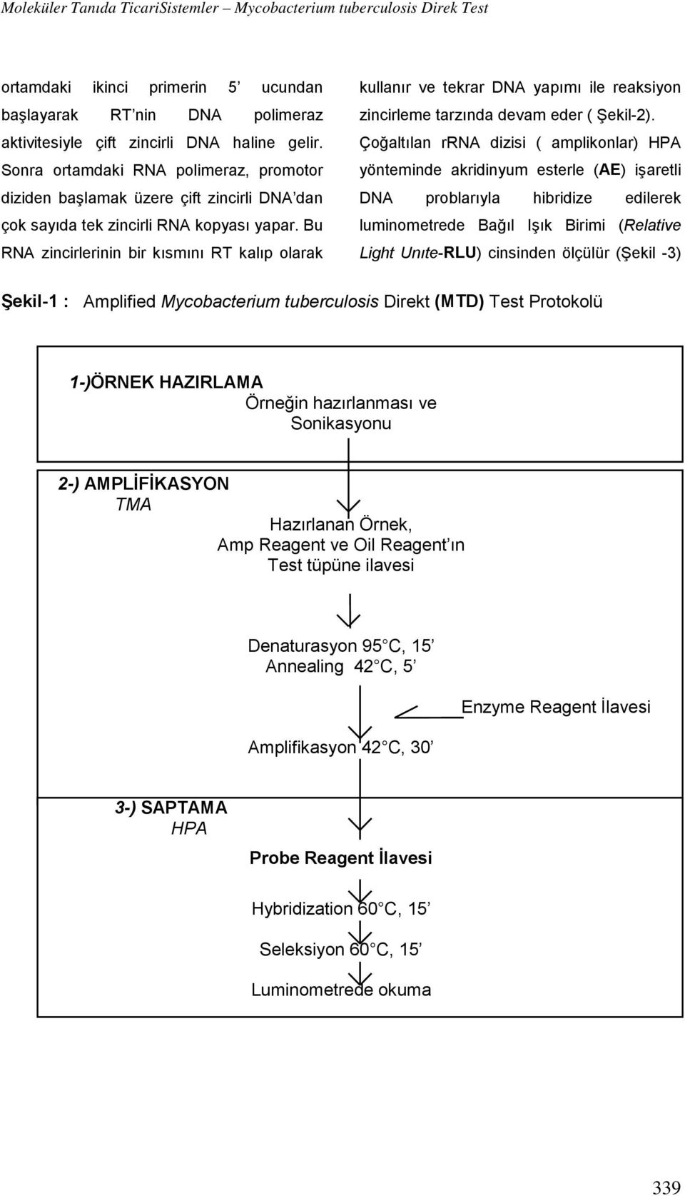 Bu RNA zincirlerinin bir kısmını RT kalıp olarak kullanır ve tekrar DNA yapımı ile reaksiyon zincirleme tarzında devam eder ( Şekil-2).