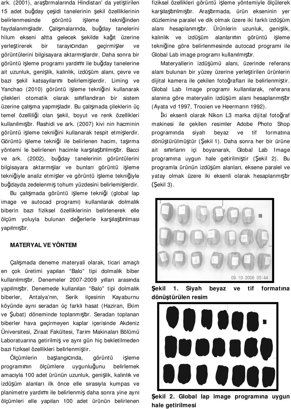 Daha sonra bir görüntü i leme ram yard ile bu day tanelerine ait uzunluk, geni lik, kal nl k, izdü üm alan, çevre ve baz ekil katsay lar belirlemi lerdir.