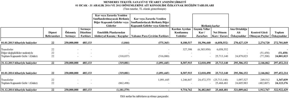 Kapsamlı Gelirler veya Giderler Yabancı Para Çevirim Farkları Kardan Ayrılan Kısıtlanmış Yedekler Birikmiş karlar Geçmiş Yıllar Kar / Zararları Net Dönem Karı / Zararı Ana Ortaklığa Ait Özkaynaklar