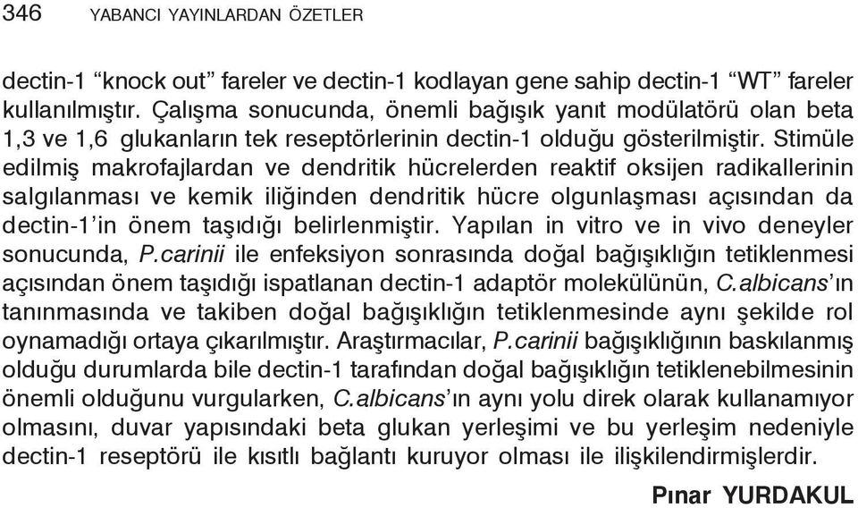 Stimüle edilmiş makrofajlardan ve dendritik hücrelerden reaktif oksijen radikallerinin salgılanması ve kemik iliğinden dendritik hücre olgunlaşması açısından da dectin-1 in önem taşıdığı