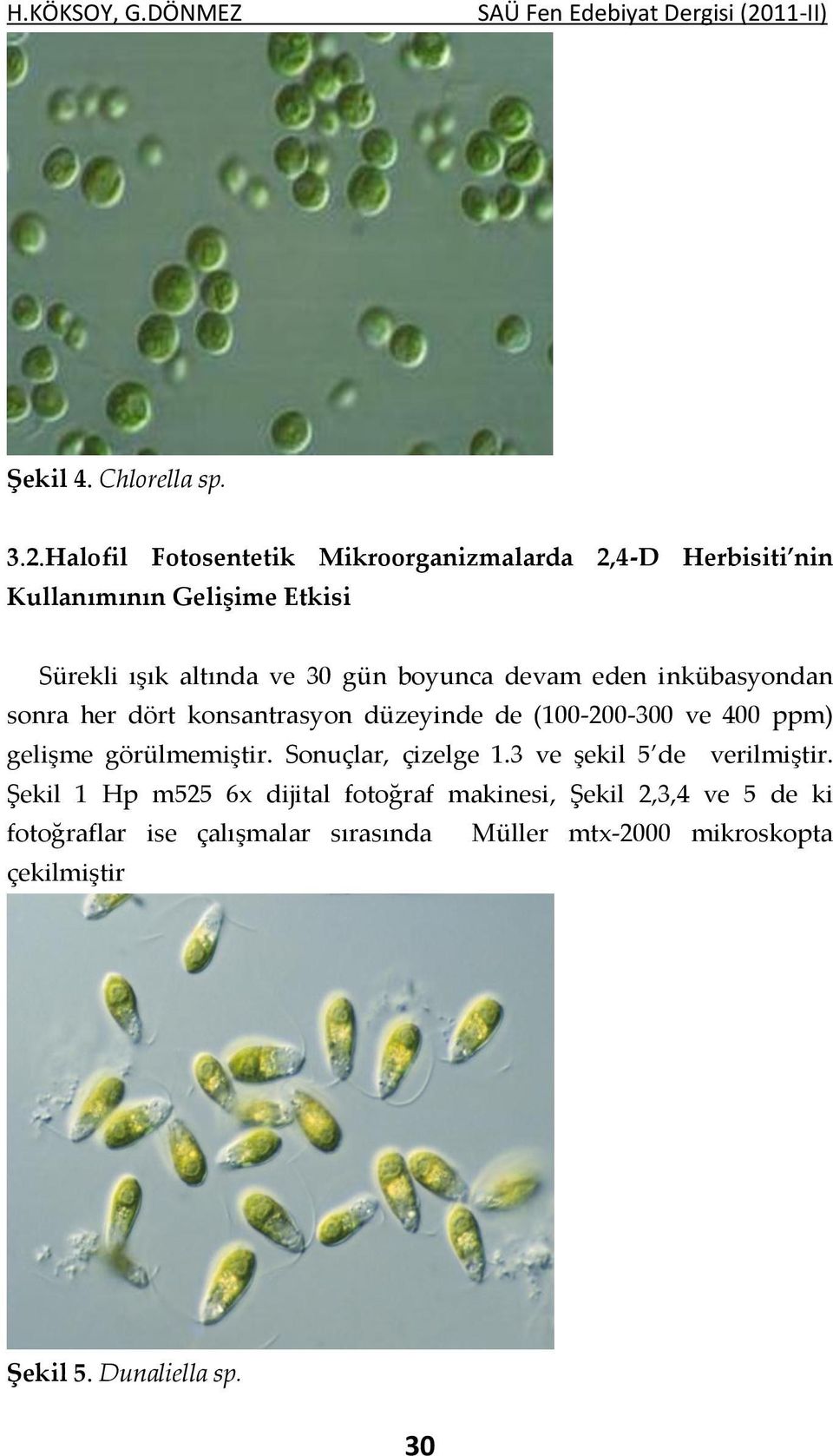 Halofil Fotosentetik Mikroorganizmalarda 2,4-D Herbisiti nin Kullanımının Gelişime Etkisi Sürekli ışık altında ve 30 gün boyunca