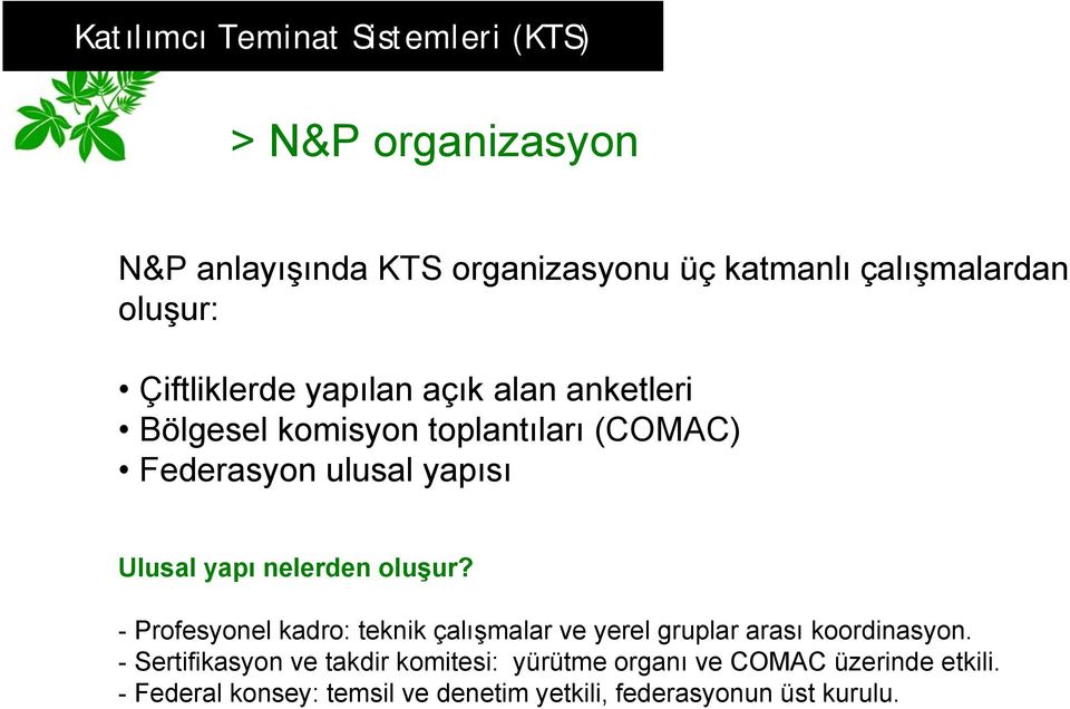 oluşur? - Profesyonel kadro: teknik çalışmalar ve yerel gruplar arası koordinasyon.