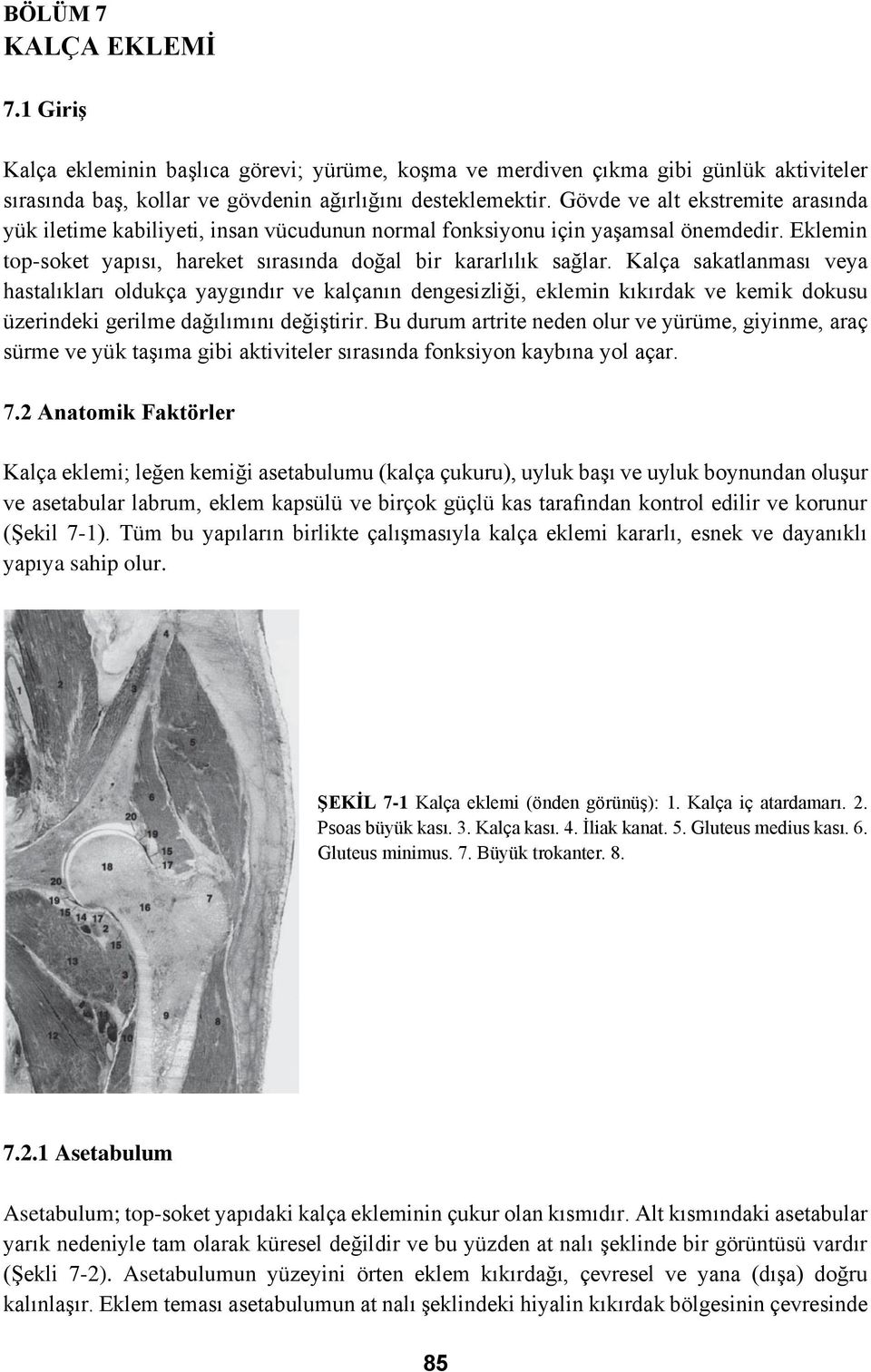 Kalça sakatlanması veya hastalıkları oldukça yaygındır ve kalçanın dengesizliği, eklemin kıkırdak ve kemik dokusu üzerindeki gerilme dağılımını değiştirir.