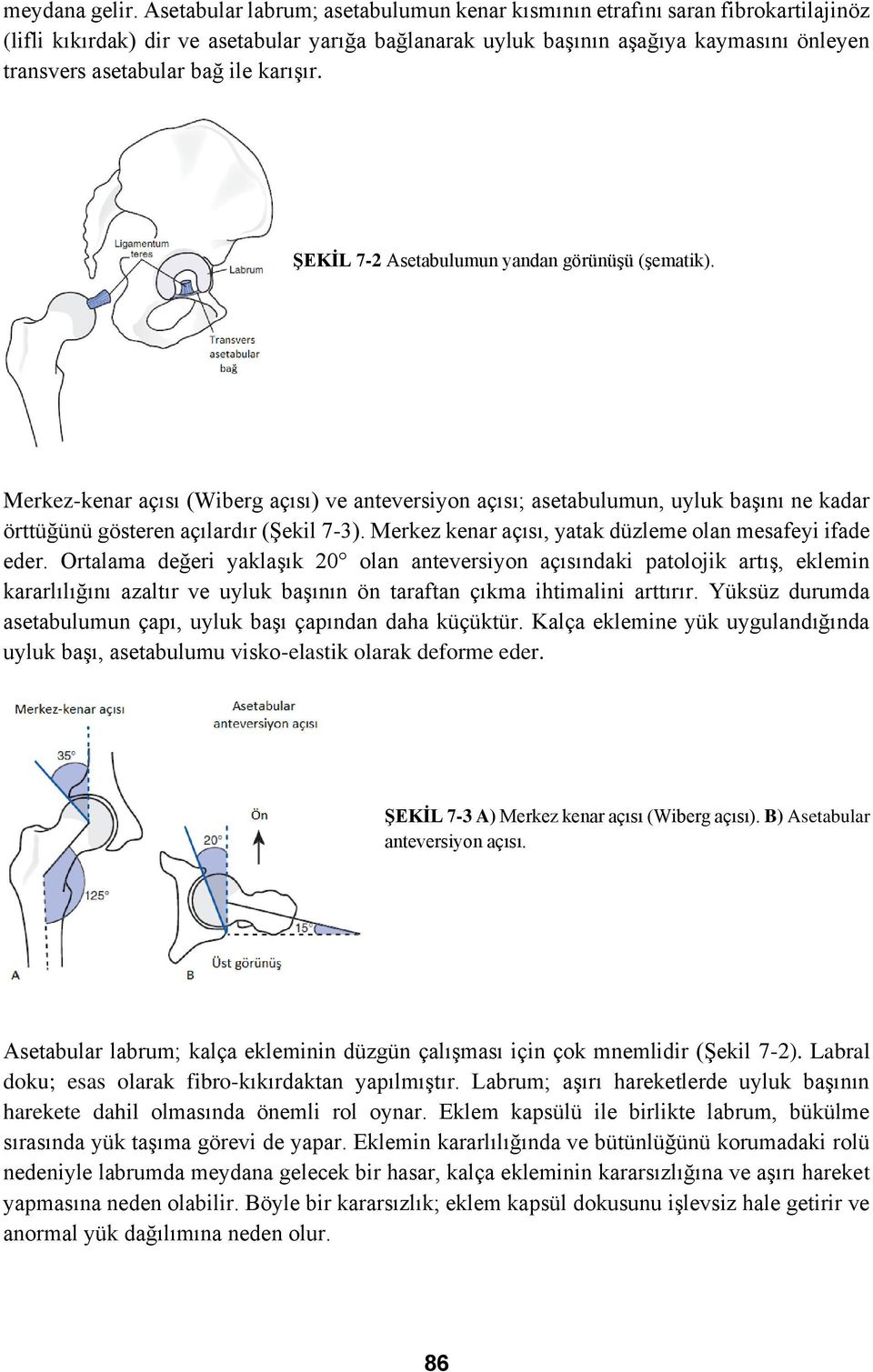 ile karışır. ŞEKİL 7-2 Asetabulumun yandan görünüşü (şematik). Merkez-kenar açısı (Wiberg açısı) ve anteversiyon açısı; asetabulumun, uyluk başını ne kadar örttüğünü gösteren açılardır (Şekil 7-3).