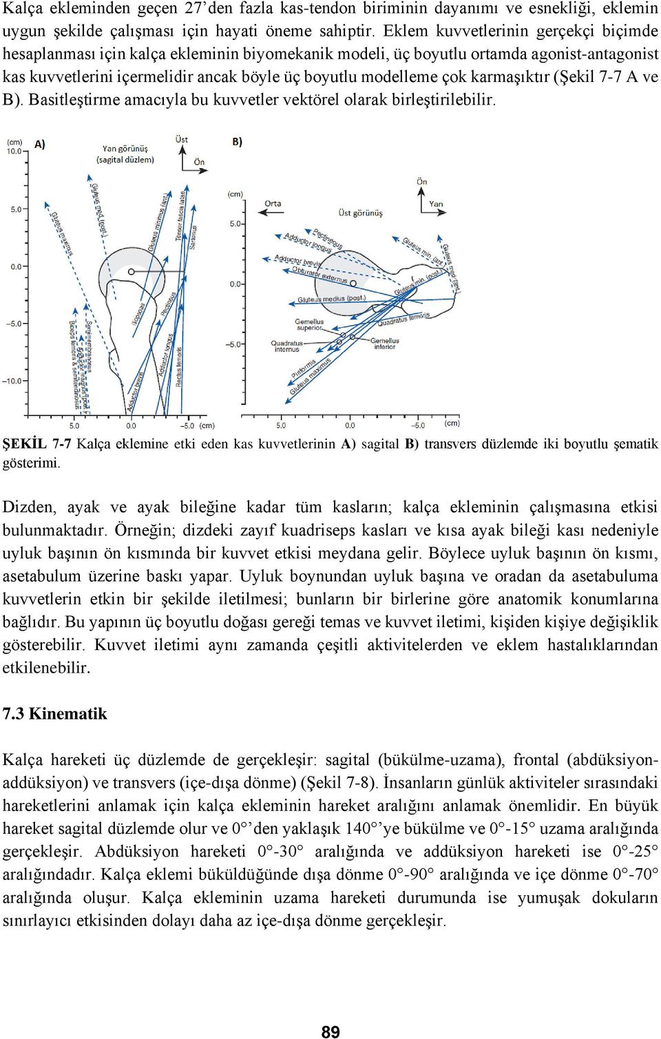 karmaşıktır (Şekil 7-7 A ve B). Basitleştirme amacıyla bu kuvvetler vektörel olarak birleştirilebilir.