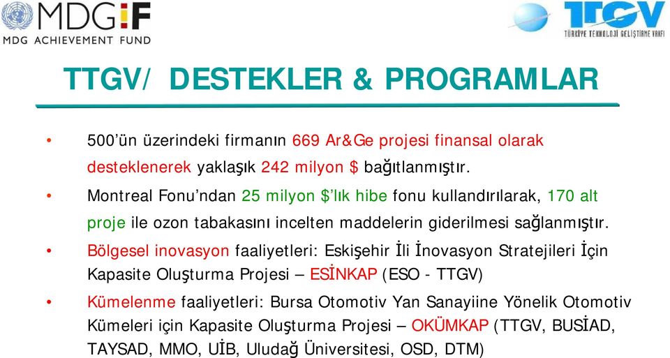 Bölgesel inovasyon faaliyetleri: Eskişehir İli İnovasyon Stratejileri İçin Kapasite Oluşturma Projesi ESİNKAP (ESO - TTGV) Kümelenme faaliyetleri: