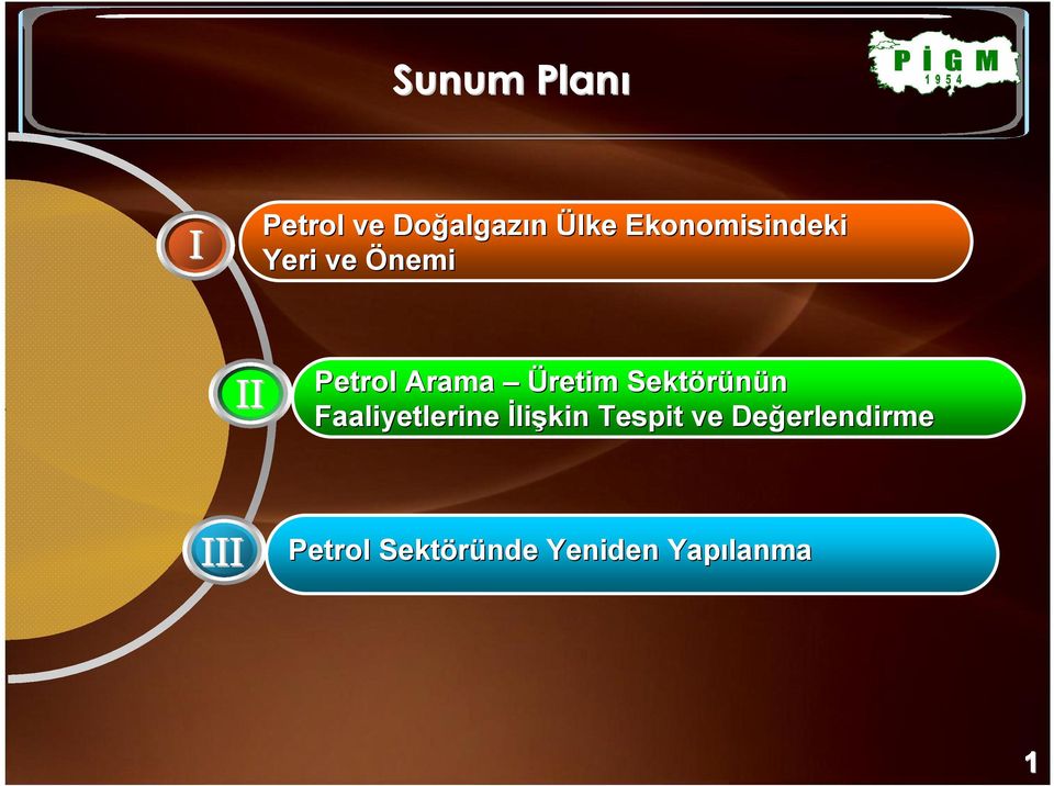 Sektörünün Faaliyetlerine Đlişkin Tespit ve