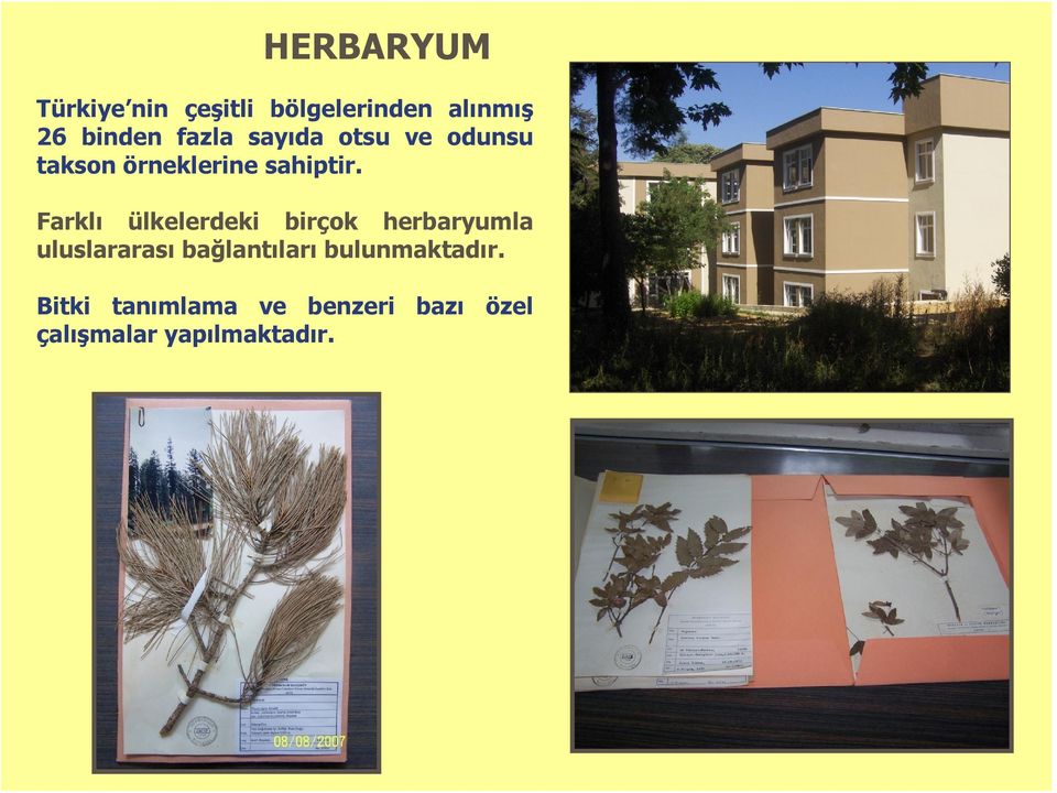 Farklı ülkelerdeki birçok herbaryumla uluslararası bağlantıları