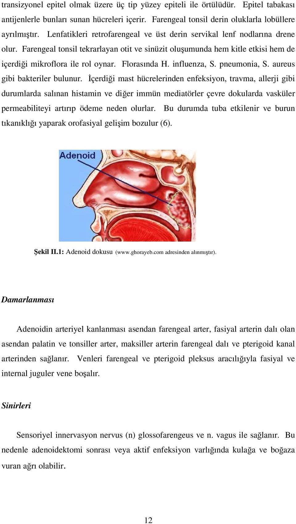 Florasında H. influenza, S. pneumonia, S. aureus gibi bakteriler bulunur.