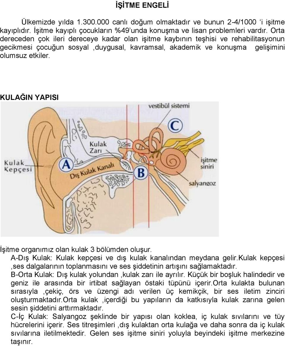 KULAĞIN YAPISI ĠĢitme organımız olan kulak 3 bölümden oluģur. A-DıĢ Kulak: Kulak kepçesi ve dıģ kulak kanalından meydana gelir.