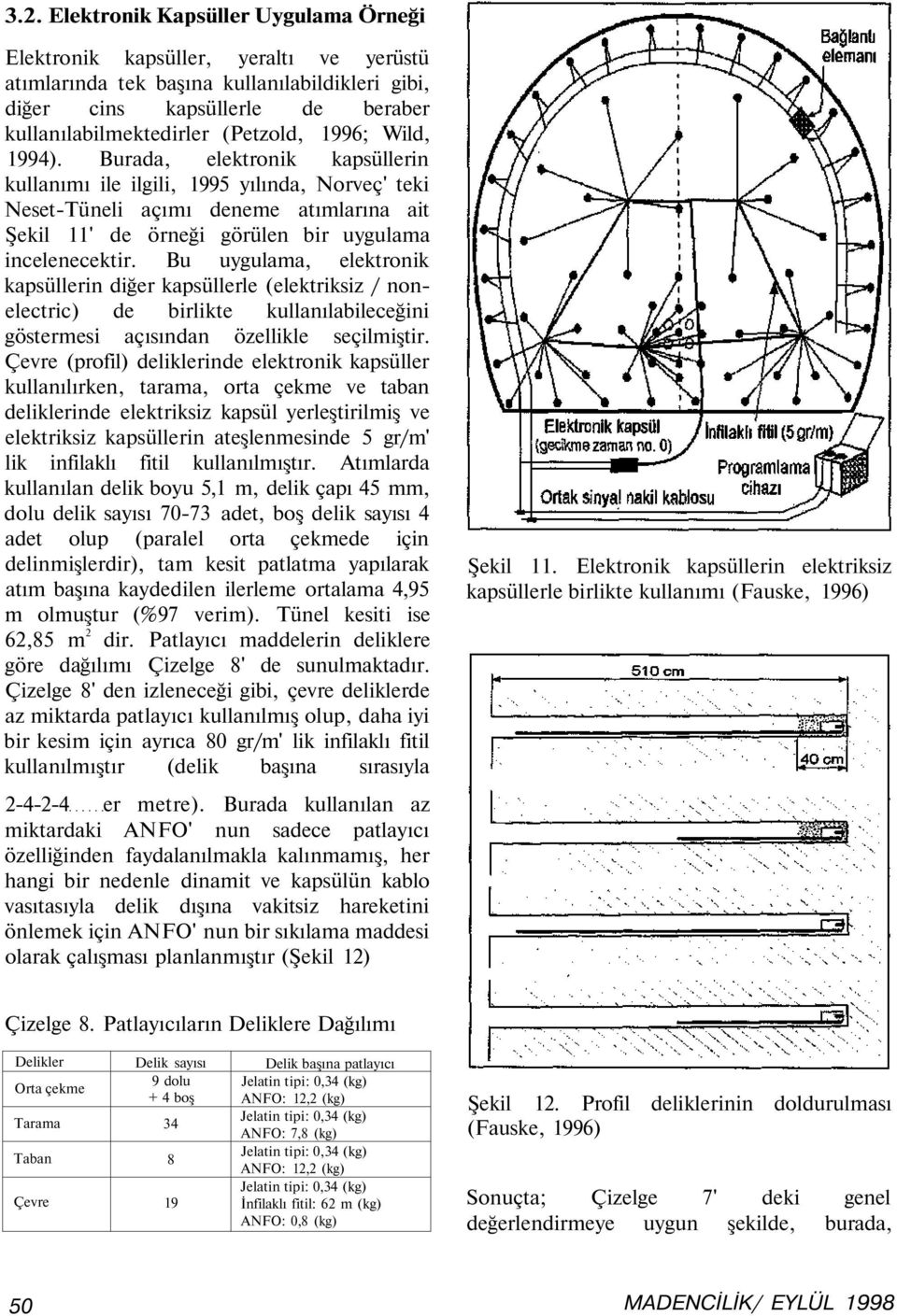 Bu uygulama, elektronik kapsüllerin diğer kapsüllerle (elektriksiz / nonelectric) de birlikte kullanılabileceğini göstermesi açısından özellikle seçilmiştir.