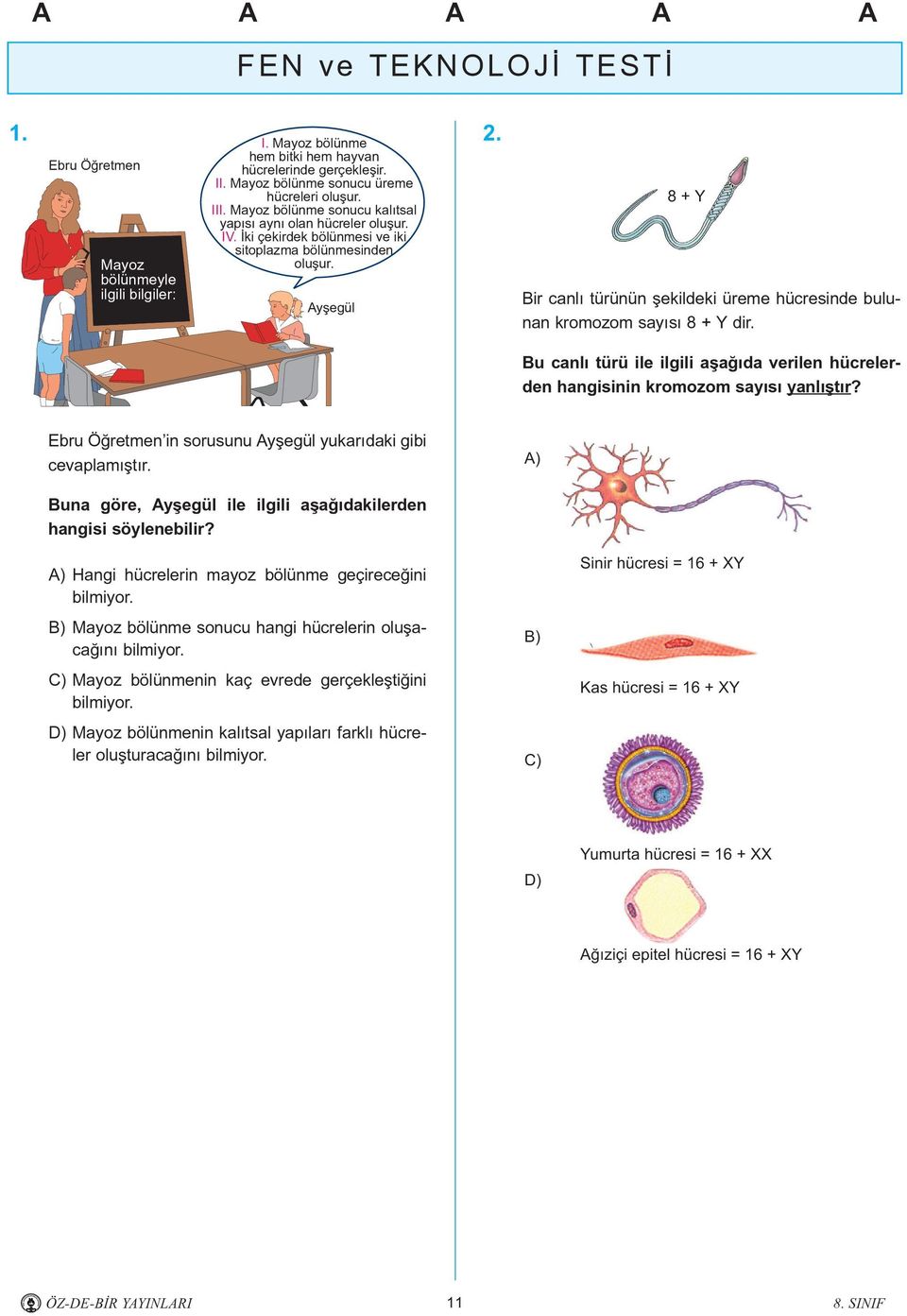 8 + Y Bir canlý türünün þekildeki üreme hücresinde bulunan kromozom sayýsý 8 + Y dir. Bu canlý türü ile ilgili aþaðýda verilen hücrelerden hangisinin kromozom sayýsý yanlýþtýr?