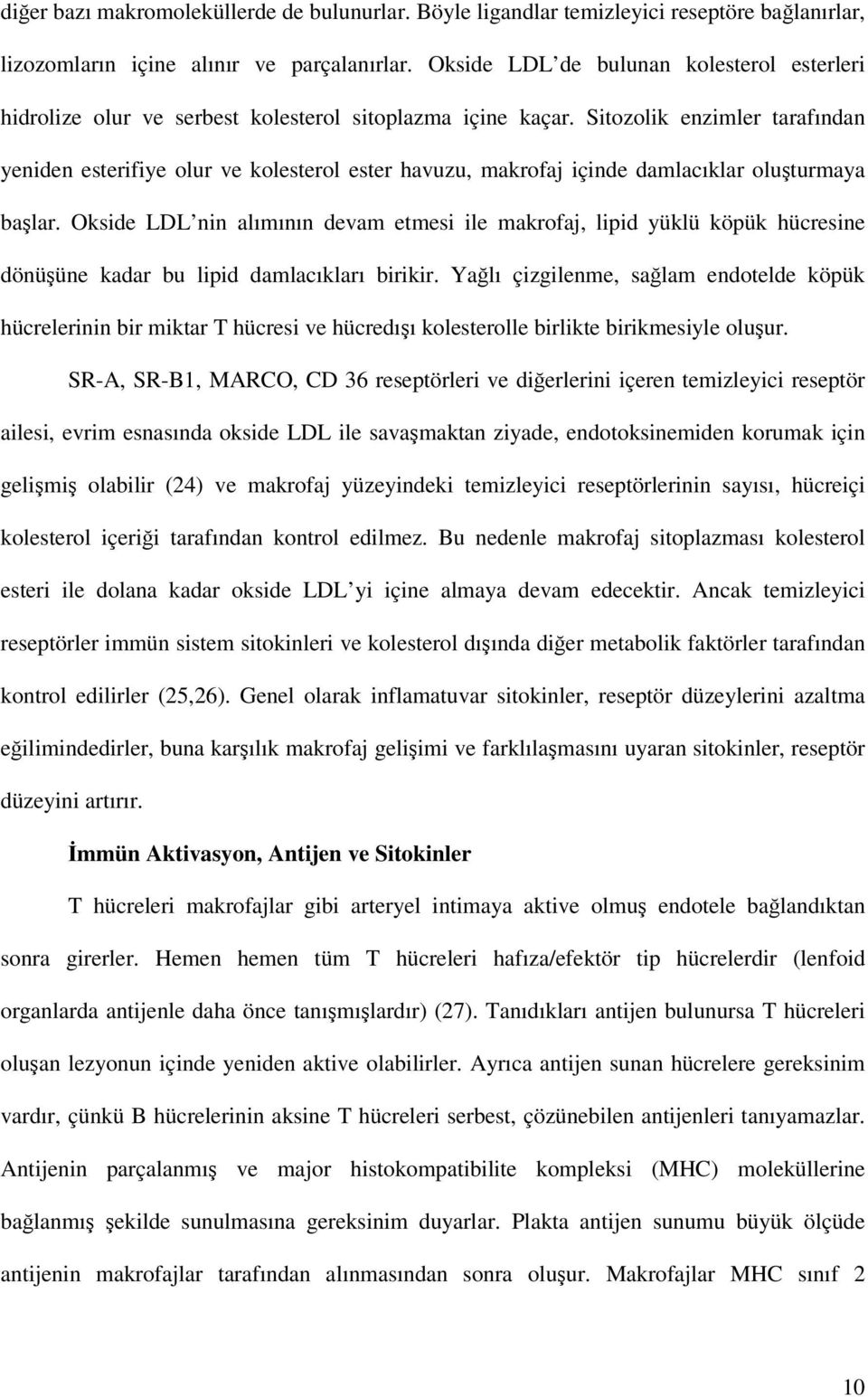 Sitozolik enzimler tarafından yeniden esterifiye olur ve kolesterol ester havuzu, makrofaj içinde damlacıklar oluşturmaya başlar.