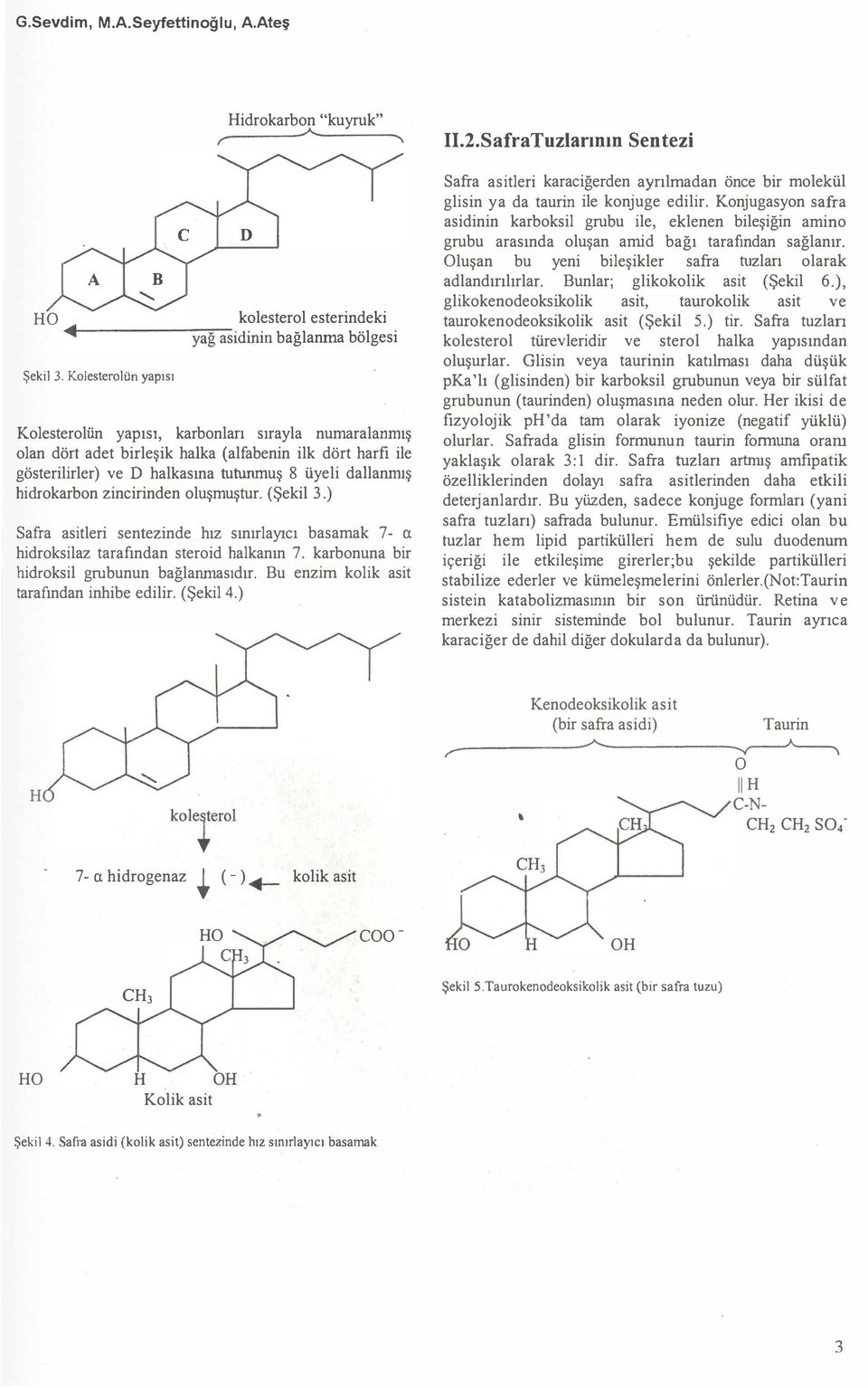 cirokarbon zincirinden oluşmuştur. (Şekil 3.) Safra asitleri sentezinde hız sınırlayıcı basamak 7- a hidroksilaz tarafından steroid halkanın 7. karbonuna bir hidroksil grubunun bağlanrnasıdır.