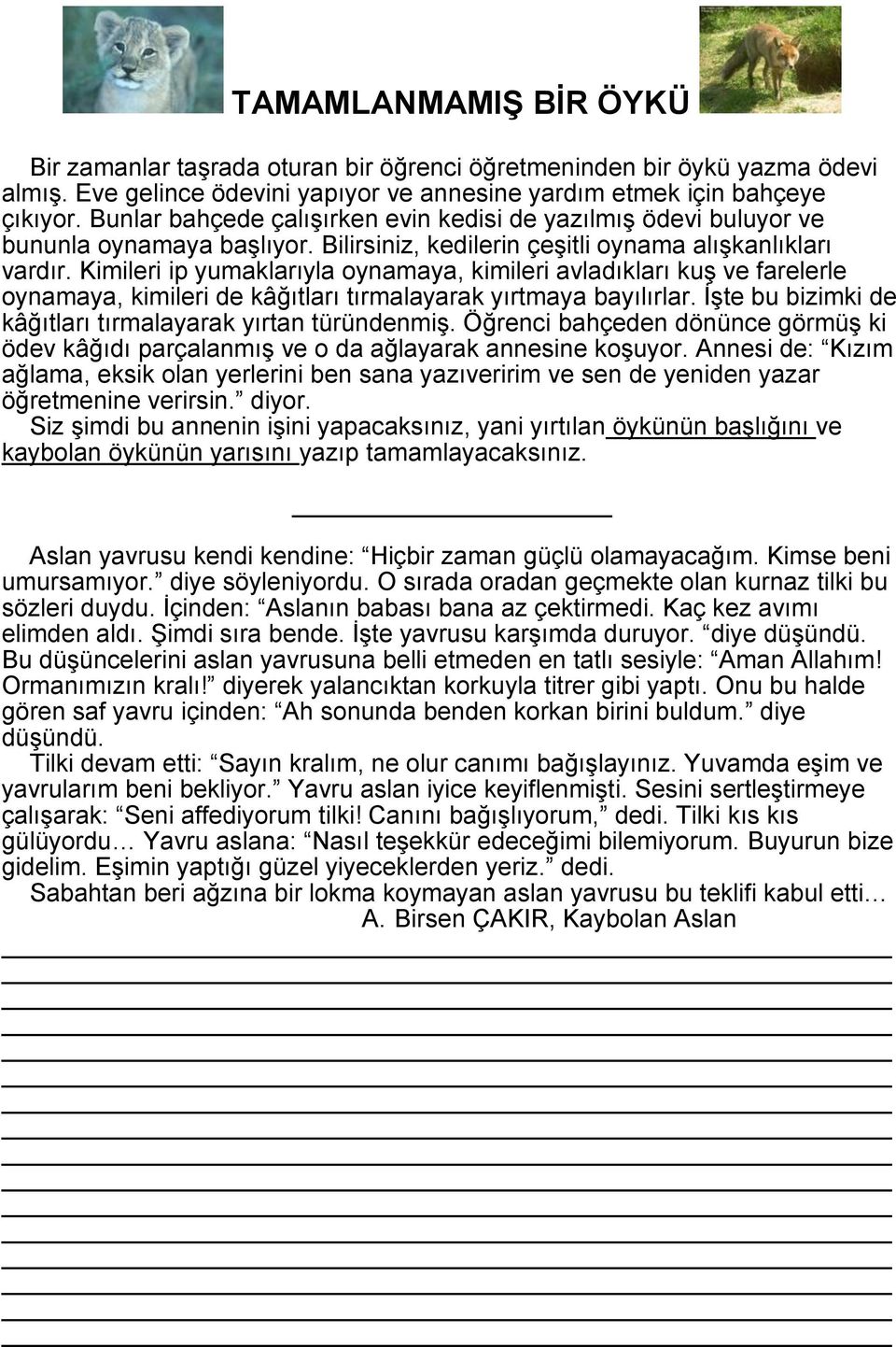 Kimileri ip yumaklarıyla oynamaya, kimileri avladıkları kuş ve farelerle oynamaya, kimileri de kâğıtları tırmalayarak yırtmaya bayılırlar. İşte bu bizimki de kâğıtları tırmalayarak yırtan türündenmiş.