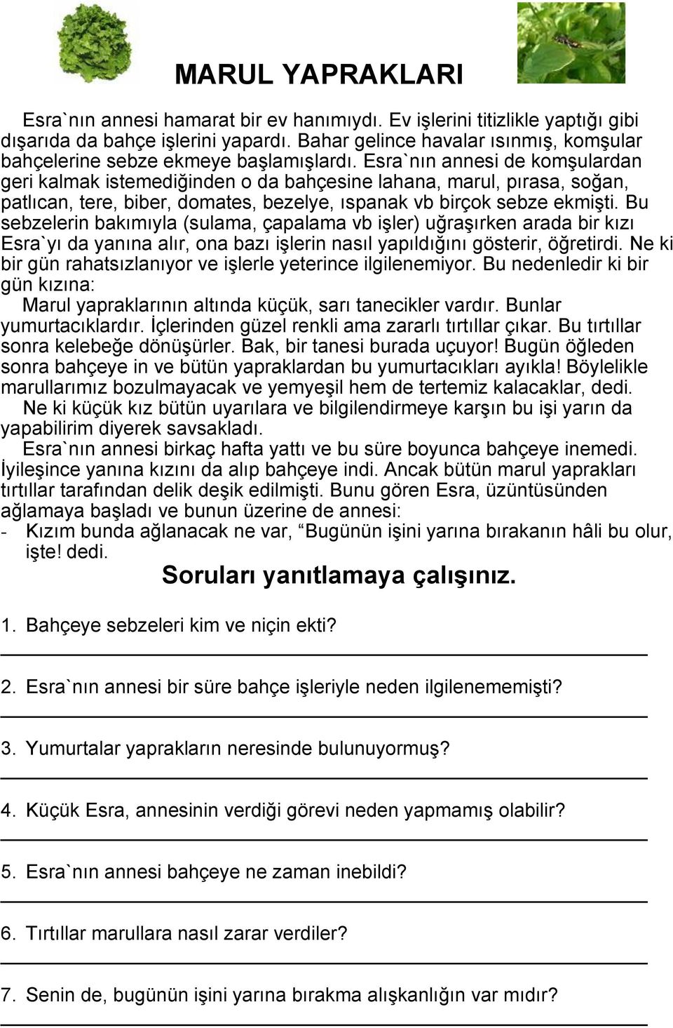 Esra`nın annesi de komşulardan geri kalmak istemediğinden o da bahçesine lahana, marul, pırasa, soğan, patlıcan, tere, biber, domates, bezelye, ıspanak vb birçok sebze ekmişti.